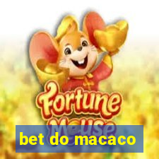 bet do macaco